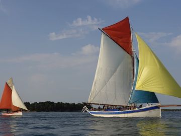 Merci à nos clients pour ces magnifiques photos des 2 plus beaux navires du Golfe ! en toute objectivité toujours 😁⛵👏